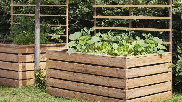 Pflanzen im Hochbeet