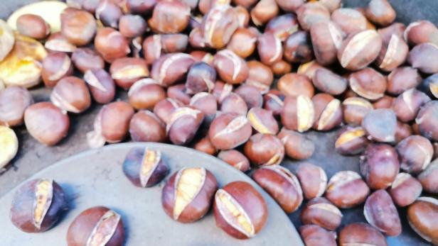 Maroni im Maronibrater. 