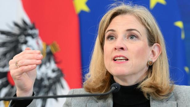 MINISTERRAT: MEINL-REISINGER