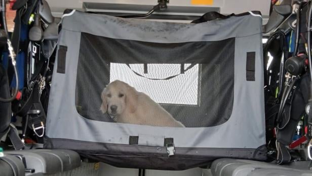 Einsatz der FF St. Valentin