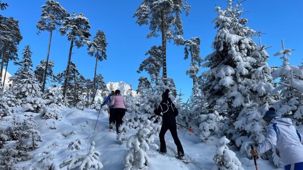 Schneeschuhwandern in Maria Alm