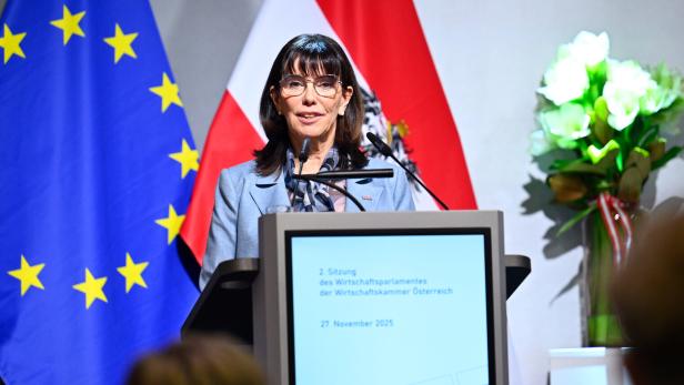 WIRTSCHAFTSKAMMER ÖSTERREICH (WKÖ): "WIRTSCHAFTSPARLAMENT" - SCHULTZ