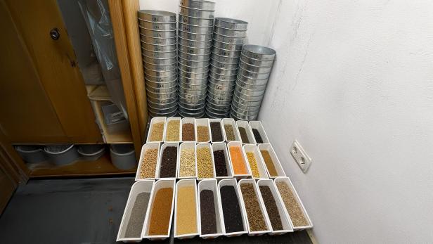 Verschiedene Getreide- und Saatgutproben in weißen Behältern vor gestapelten Metallsieben.
