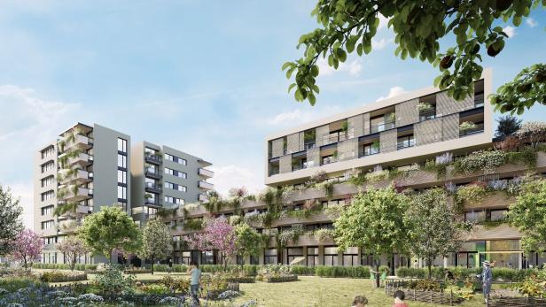 Rendering Meischlgasse