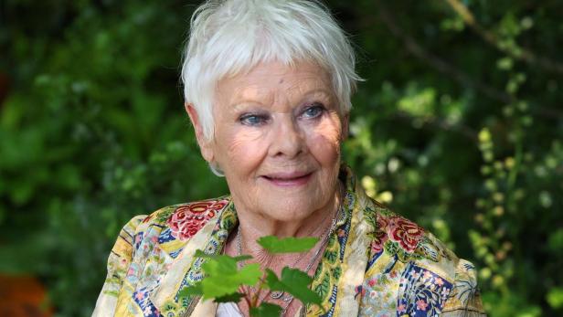 Judi Dench mit weißen Haaren hält einen Topf mit einer kleinen Pflanze.