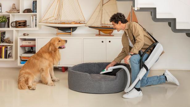 Ein Mann saugt mit einem Staubsauger ein Hundebett aus, der Hund sitzt daneben und schaut seinem Herrchen zu.