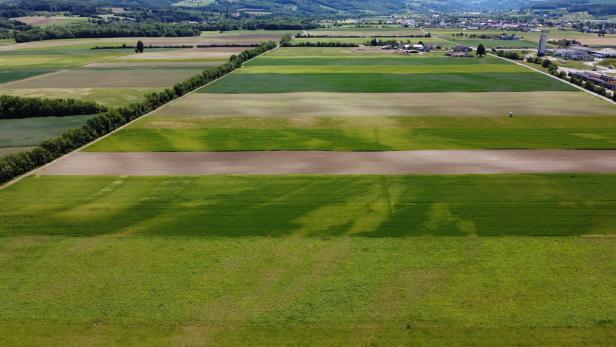 ++ HANDOUT/ARCHIVBILD ++ NIEDERÖSTERREICH: PETITION GEGEN REWE-LAGER IM HOCHWASSERGEBIET IN ST. PÖLTEN