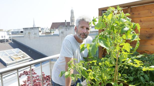 Dirk Stermann ist auf seiner Dachterasse City Farmer. Wien, 20.06.2013