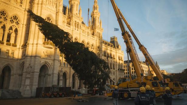 Der Christbaum am Wiener Rathausplatz wird aufgestellt