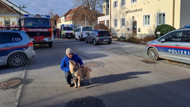 Hund findet abgängiges Mädchen bei Kollersdorf