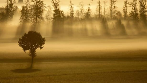 Wetter in Baden-Württemberg