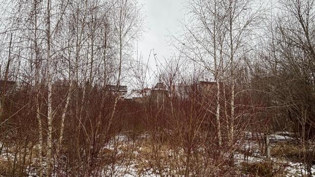 Eine Aufnahme vom Zwettler Hahn-Gelände. Das Areal ist verwandelt, es liegt Schnee.