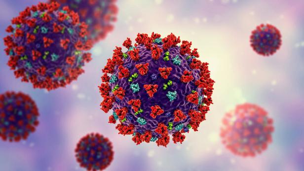 Das Foto zeigt Illustrationen des neuen Coronavirus SARS-CoV-2