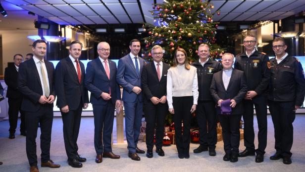 Eine Gruppe Männer und eine Frau stehen vor einem Christbaum im EU Parlament.