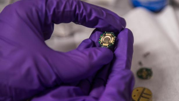 Ein Halbleiterchip mit Spin-Qubits.