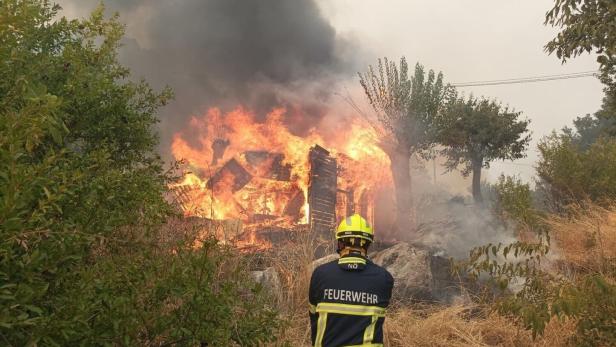 Feuerwehrmann bekämpft Waldbrand