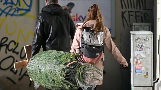 ++ THEMENBILD ++ WEIHNACHTEN / WEIHNACHTSBAUM / CHRISTBAUM