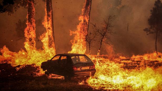 The Wider Image: Villagers struggle with aftermath of intense Iberian wildfires