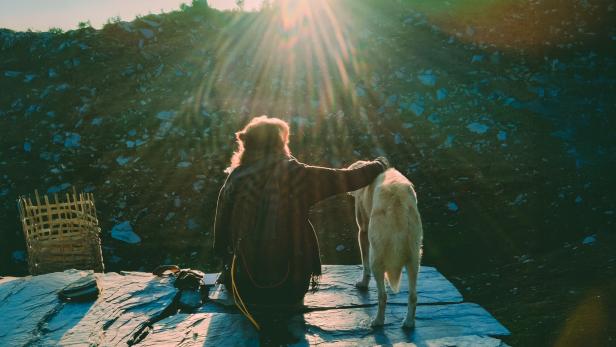 Person sitzt neben einem Hund im Sonnenlicht und streichelt ihn.