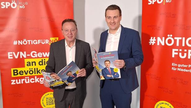 SPÖ-Klubobmann und Landesvorsitzender 