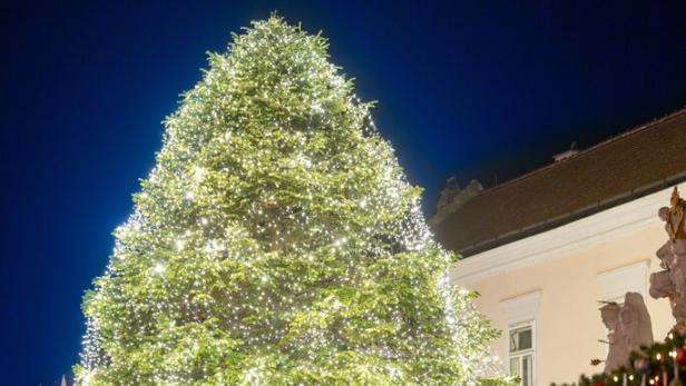 Großer, festlich beleuchteter Weihnachtsbaum auf einem Weihnachtsmarkt mit Verkaufsständen und Krippe bei Nacht.