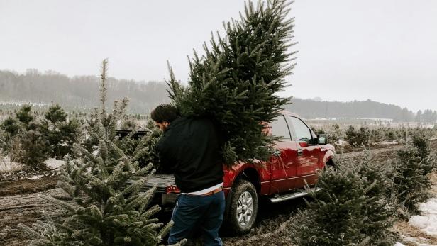 Mann transportiert Christbaum zu seinem Auto