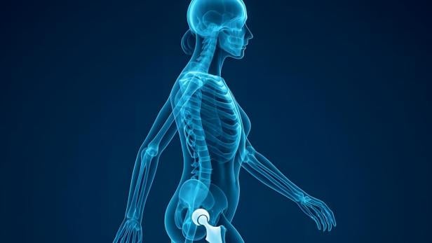 Skelett eines weiblichen menschlichen Körpers, vollständig sichtbar, auf einem neutralen Hintergrund.