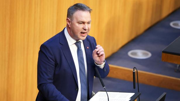 babler im Nationalrat