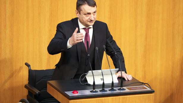 NATIONALRAT: FÜRLINGER