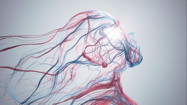 Abstract Human Face - Artificial Intelligence, Psychology, Technology, Blood Flow - Red And Blue