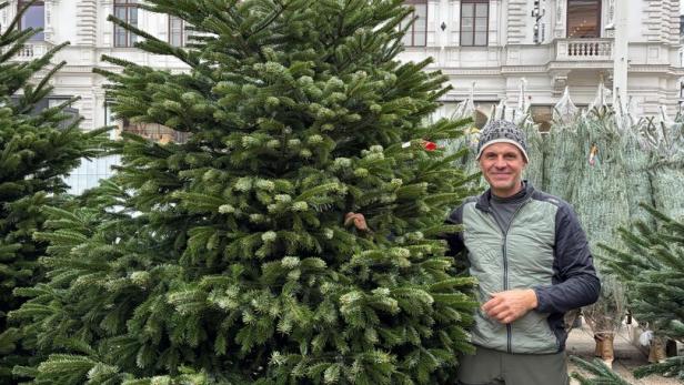 Stand-Besitzer neben großem Baum