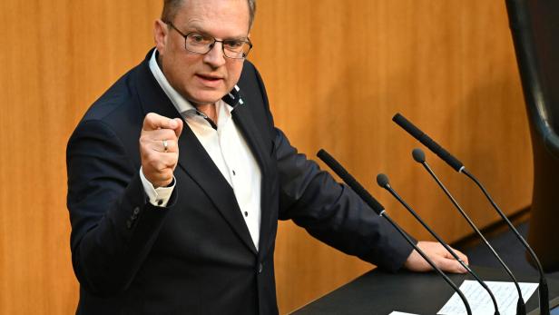 NATIONALRAT: WÖGINGER