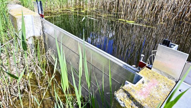 Ein Wehr aus Metall staut das Wasser in einem Graben mit Schilf und Gras.