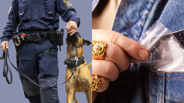 Auf der linken Seite ein Polizist mit Hund, auf der rechten Seite eine Hand, die ein Baggy hält  