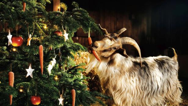 Eine Ziege frisst eine Möhre von einem mit Karotten, Äpfeln und Sternen geschmückten Tannenbaum.