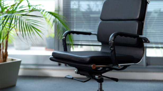 Ein schwarzer Bürostuhl neben einer Zimmerpflanze 