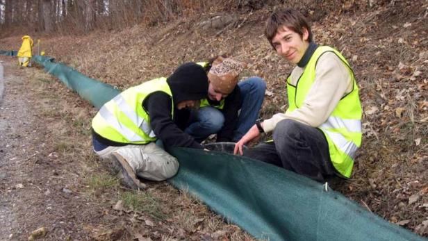 Drei Personen in Warnwesten befestigen am Straßenrand ein grünes Schutznetz am Boden.