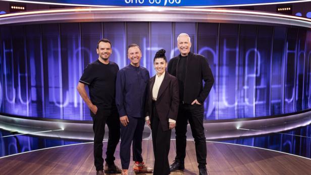 Die Coaches von The Taste