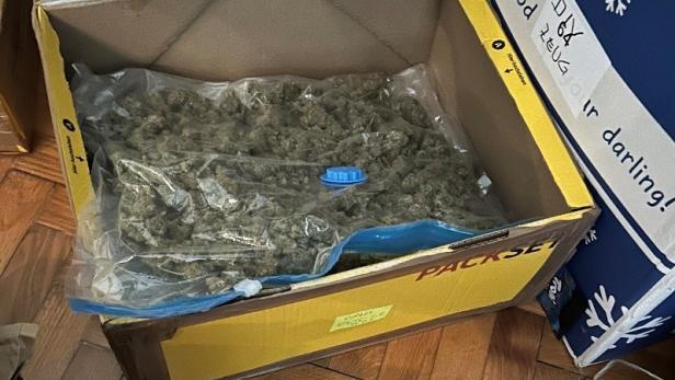 Eine Kiste mit einer Tüte voller Cannabis und eine Tüte mit 100g einer weißen Substanz stehen auf einem Holzboden.