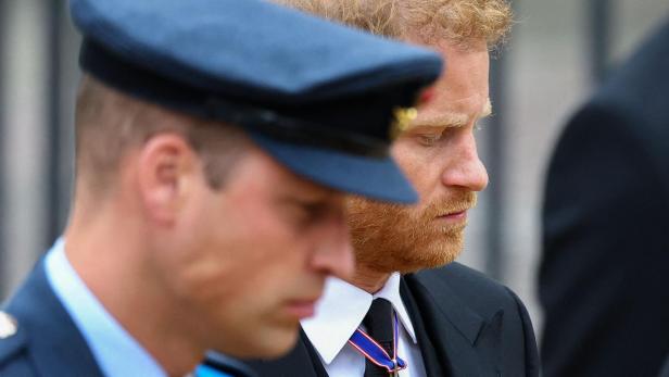 Prinz Harry steht neben Prinz William, beide mit gesenkten Köpfen.