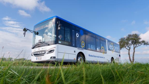 Ein Leopoldi Bus steht auf einer Straße umgeben von einer grünen Wiese.