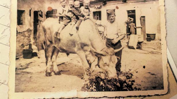 Roger Tempels seinerzeit mit einem Ochsen und vier Kindern am Hof der nö. Familie.