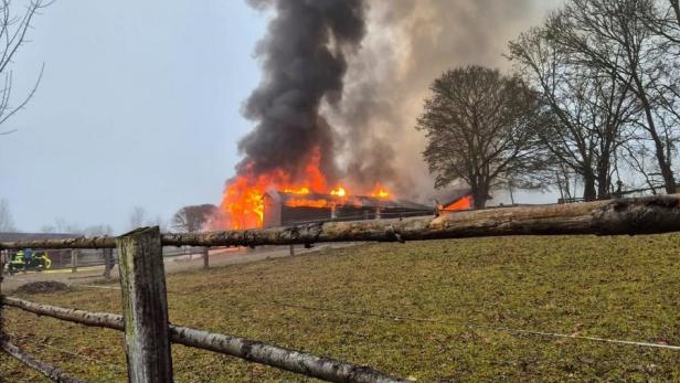 Pferdestall in Vollbrand