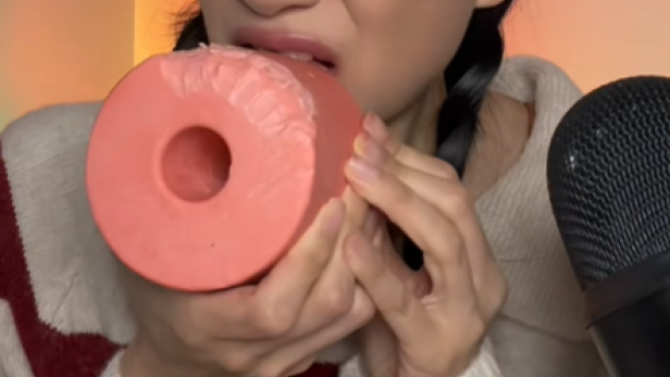 Person beißt in einen rosafarbenen Pferdeleckstein neben einem Mikrofon.