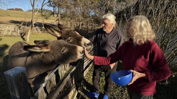 Zwei Esel werden von einer Frau gefüttert, während ein Mann daneben steht, im Hintergrund Wiese und Bäume.