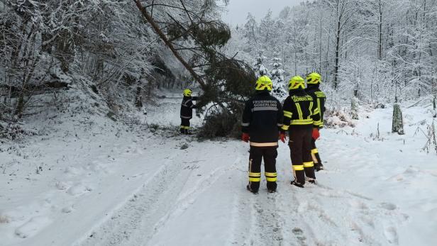 Vier Feuerwehrleute räumen auf einer verschneiten Straße einen umgestürzten Baum beiseite.