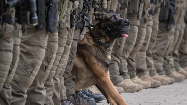 Diensthund des SEK der Polizei Frankfurt