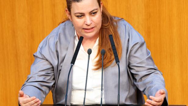 NATIONALRAT: TOMASELLI