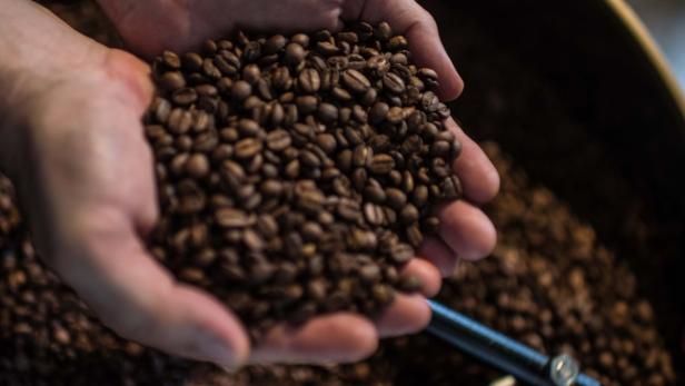 Weltweit steigt der Gusto auf Kaffee.