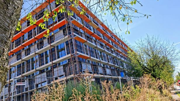 FH Campus Pinkafeld, Medizin-Uni